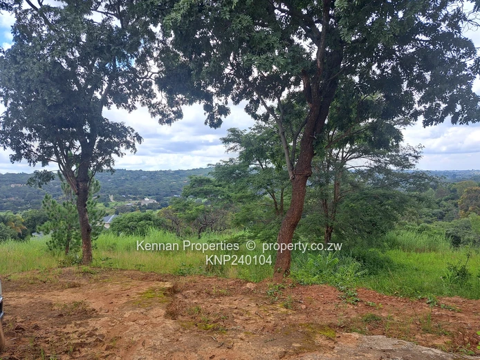 Spectacular views! Build your dream home. (Sole Mandate)