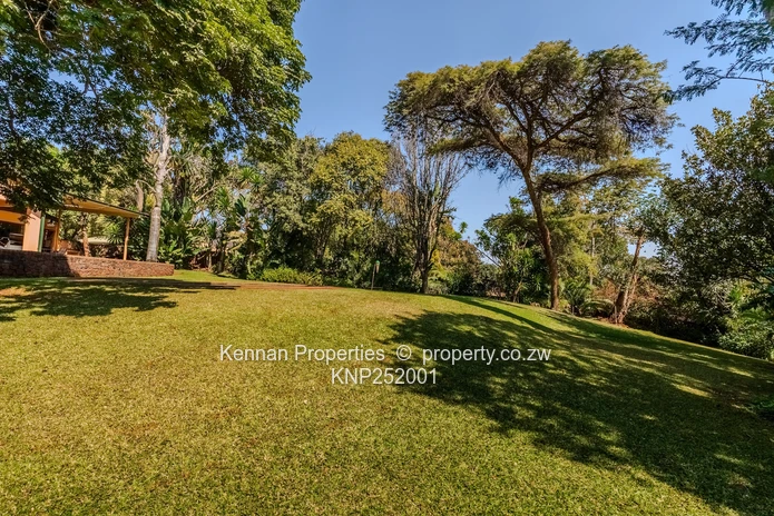Lovely Mandara 8094 square metres for sale (Sole Mandate)