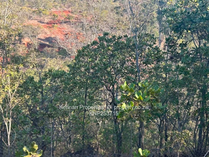 Incomplete House for Sale- 4 acres (Sole Mandate)