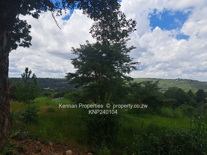 Spectacular views! Build your dream home. (Sole Mandate)