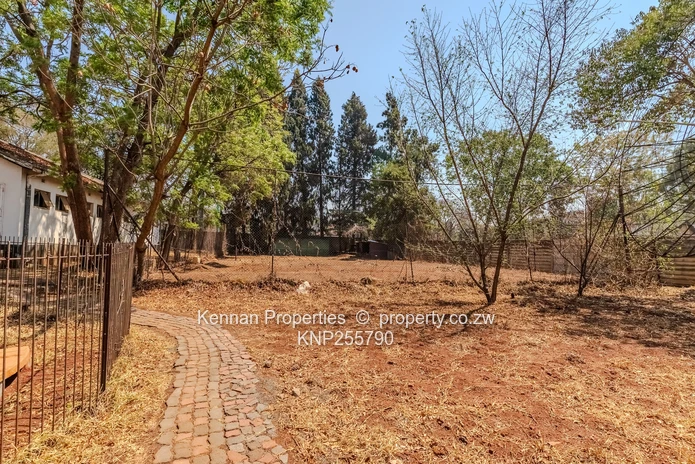Trophy location - Ed Mnangagwa Rd + Glenara Ave