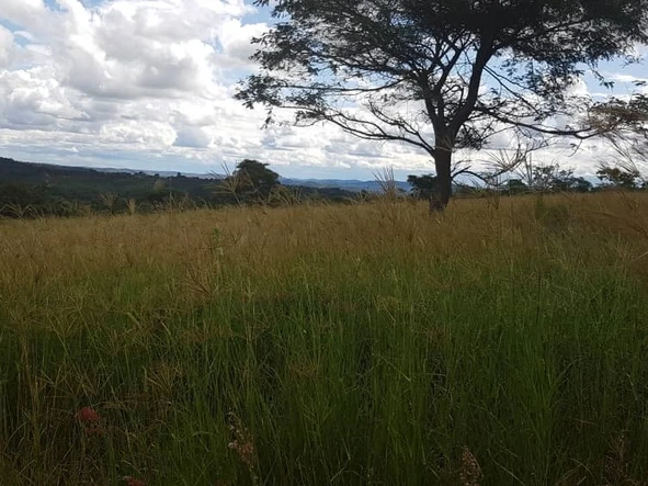 Agro land in Glen Forest to rent!