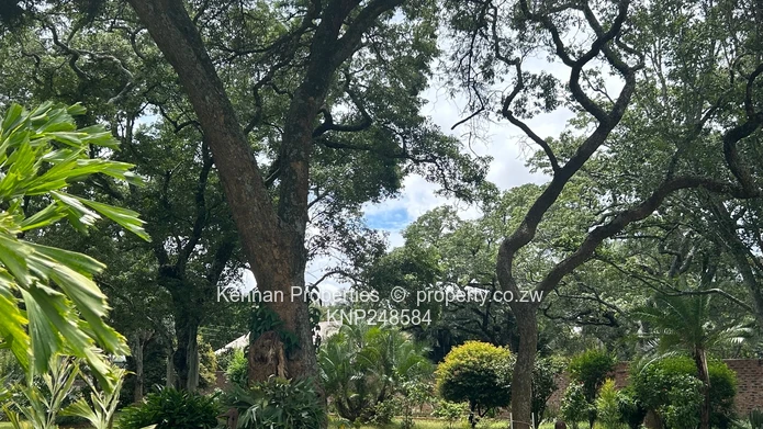 Prestigious Borrowdale Rental – Space, Comfort & Timeless Charm