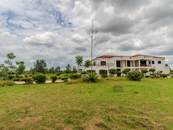 Farm & Agricultural Land