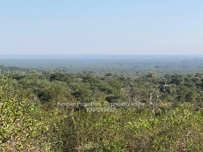 Unique opportunity - prime land bordering Victoria Falls Game Corridor (Sole Mandate)
