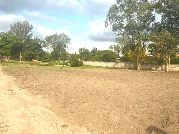 Land