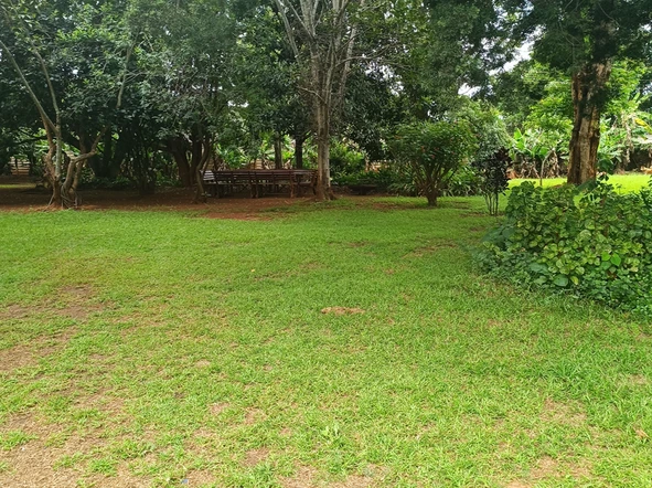 Land