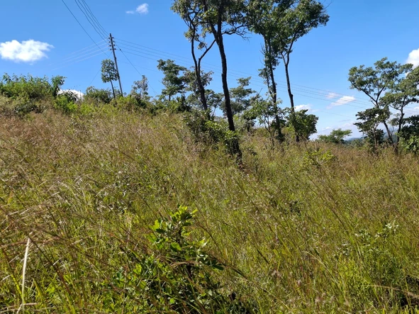 Land