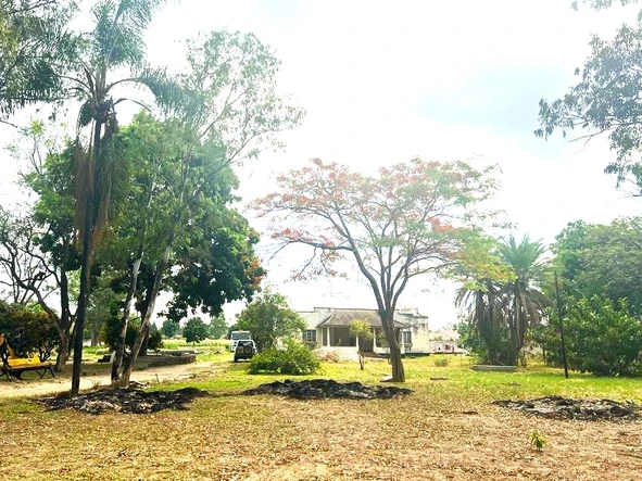 Land