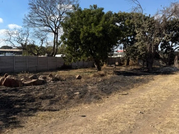 Commercial & Industrial Land