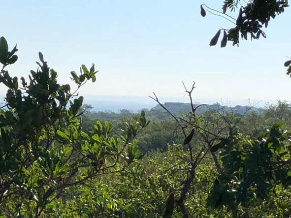 Land