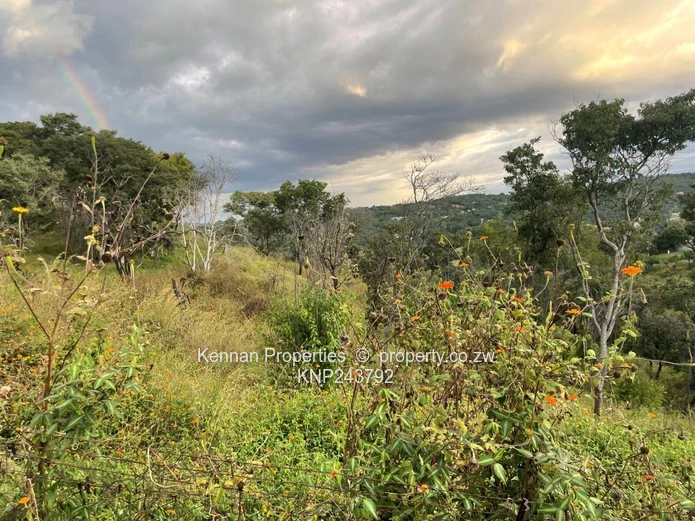 Helensvale - Just listed  - 2 stands for sale with views  	