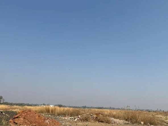 Land