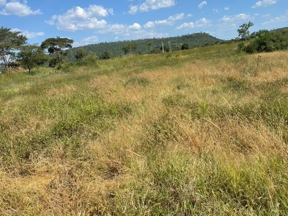 Land