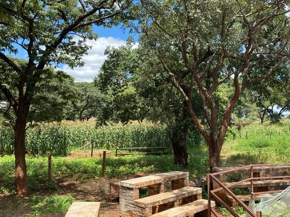  LAND FOR SALE in Banket