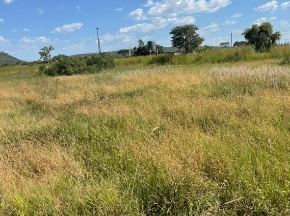Land