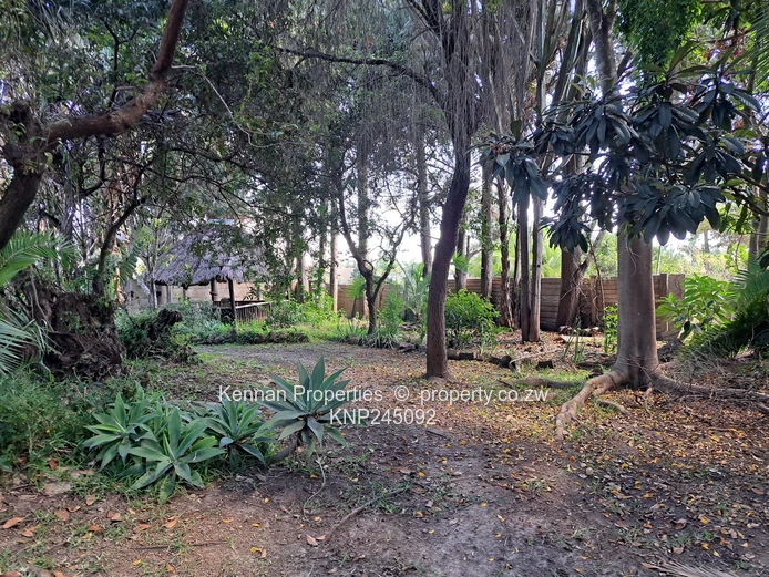 3 Bedroomed Neat Family home for Sale