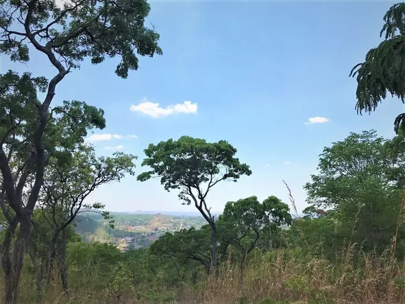Land