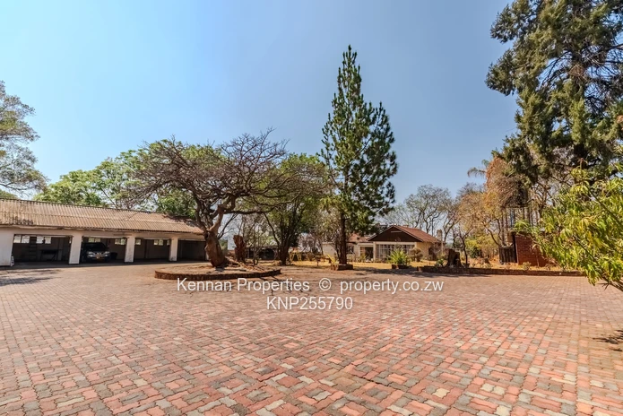 Trophy location - Ed Mnangagwa Rd + Glenara Ave