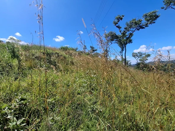 Land