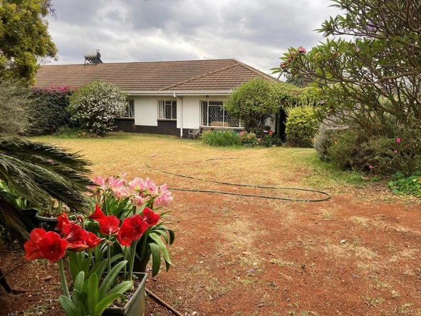 2 Bedroom Flat & Apartment