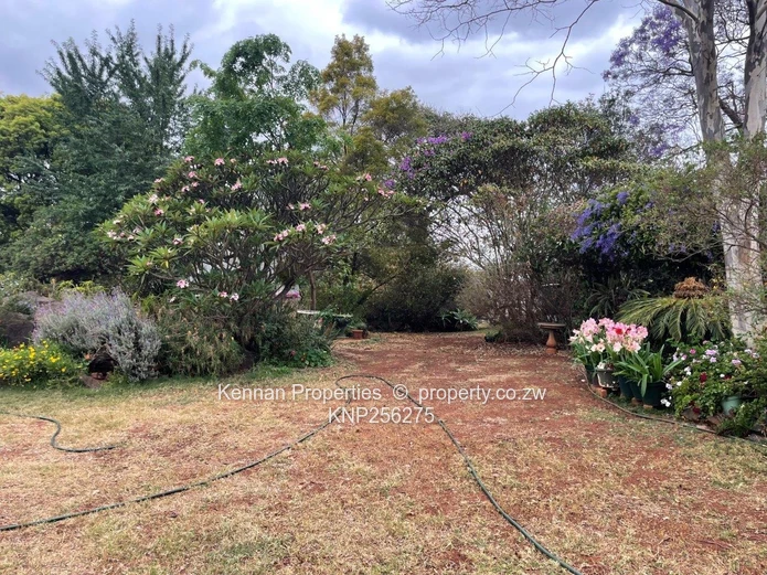 Spacious end unit garden flat apartment in Greendale North