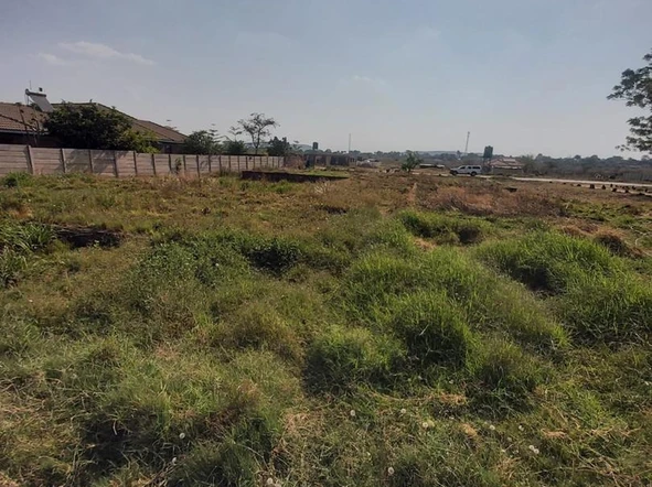 Stands & Residential Land