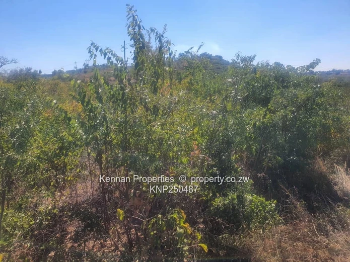 Prime 2,000sqm Residential Stand for Sale – Golden Heights, Mshumavale, Kadoma