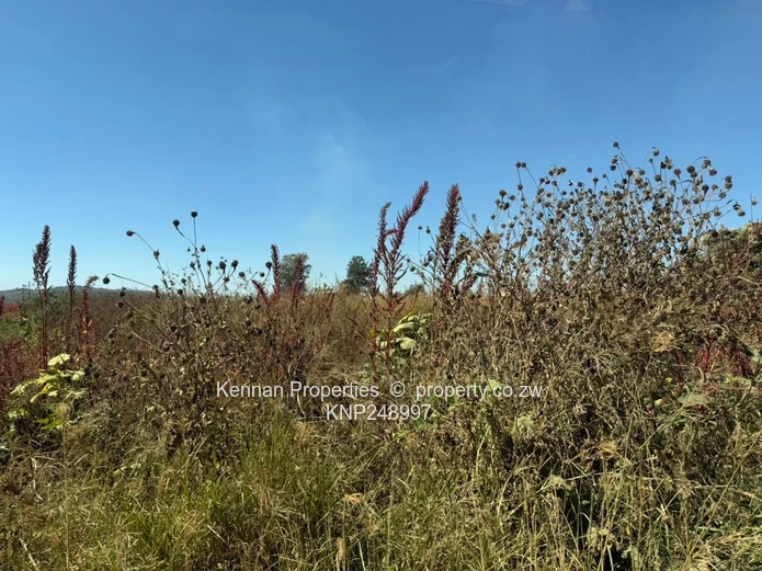 Expansive 65,234ha Mt Hampden Land — Open Veld & Views