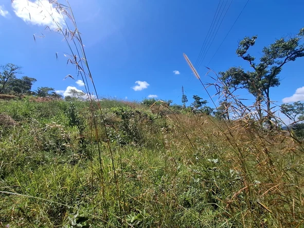 Land