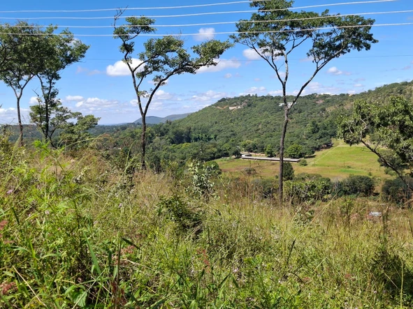 Land