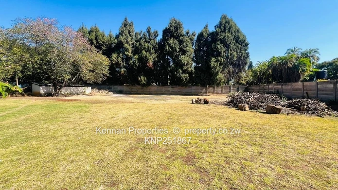 Family home on 4900 sqm of land with good water  (Sole Mandate)