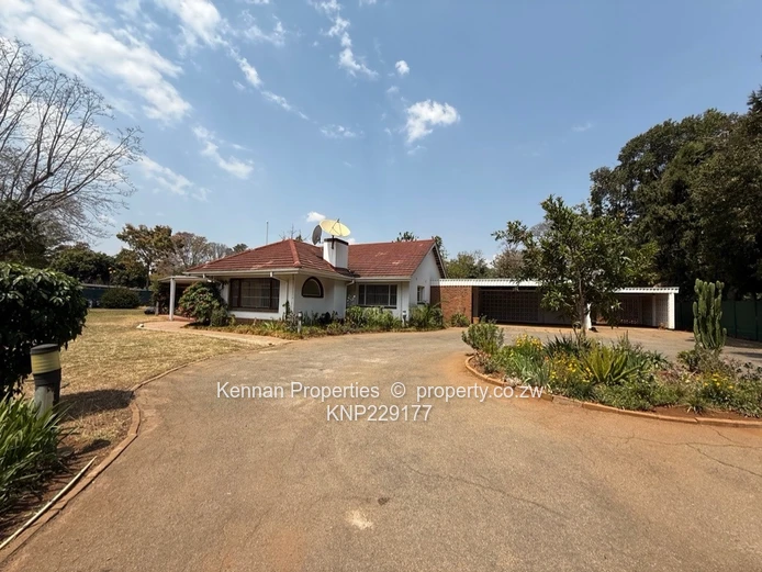 house for rent in prime location 