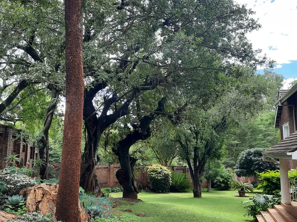 Large Gracious Home in Much Sought after Area - INVESTMENT ONLY