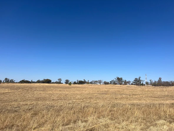 Commercial & Industrial Land