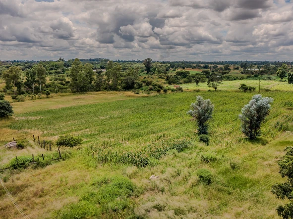 Farm & Agricultural Land