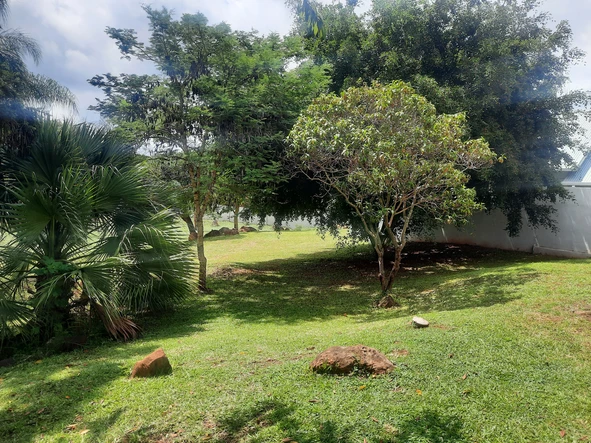 Beautiful New Cluster Units with Large Gardens Now Selling Individually