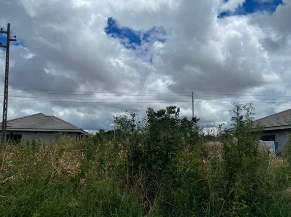 Stands & Residential Land
