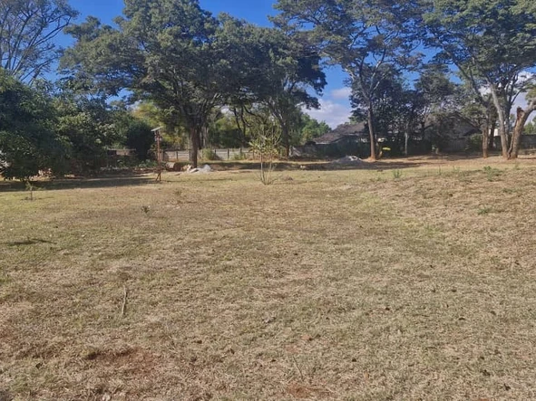 A 3000 Sqm Beautifully Treed Plot