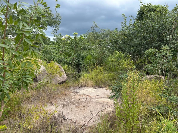 Commercial & Industrial Land
