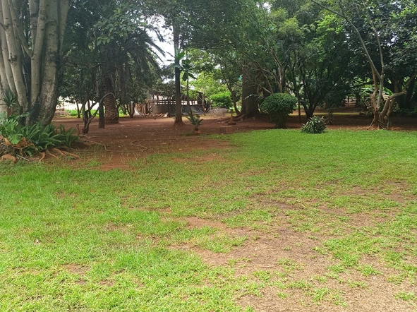 Land