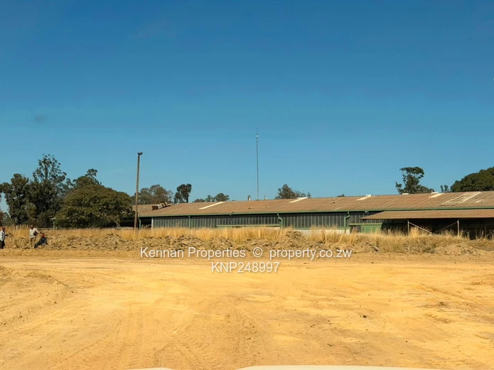Expansive 65,234ha Mt Hampden Land — Open Veld & Views